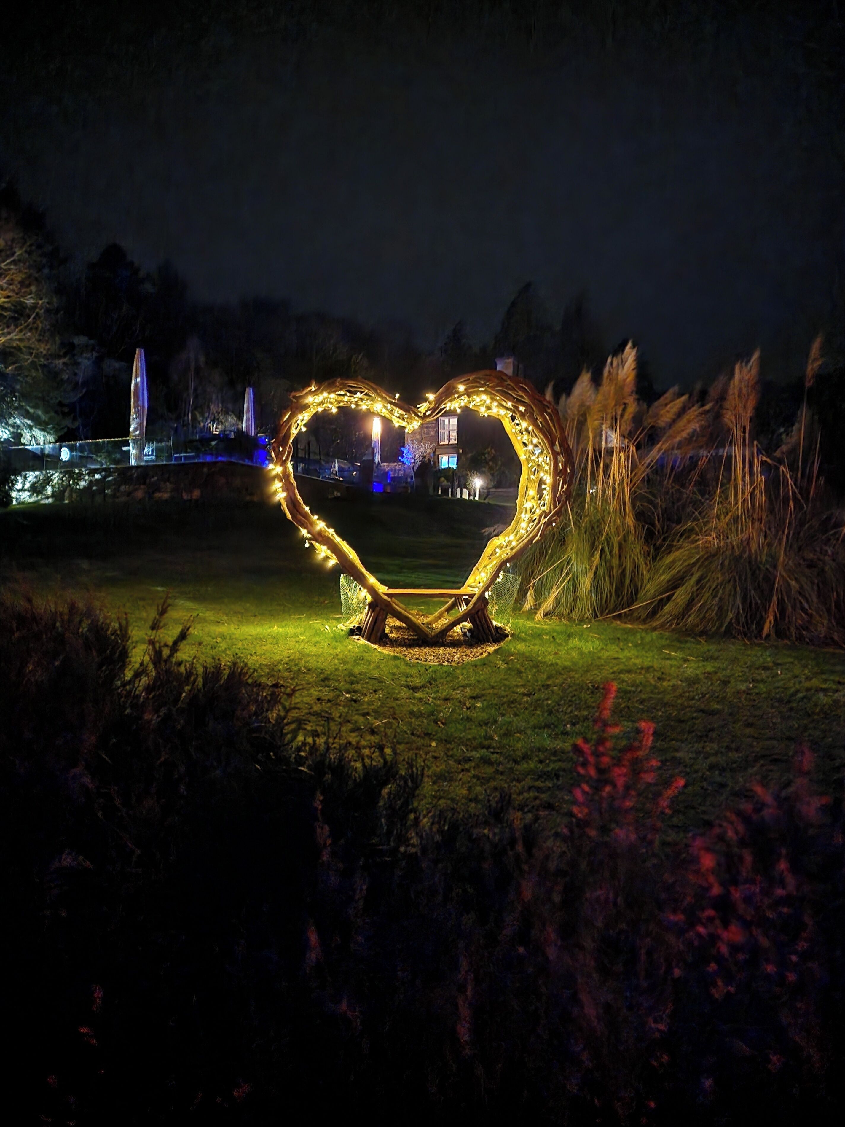A heart-shaped light installation in a park at night.
