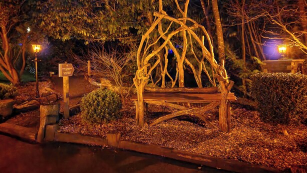 Un banco de madera rodeado de árboles e iluminado por farolas.