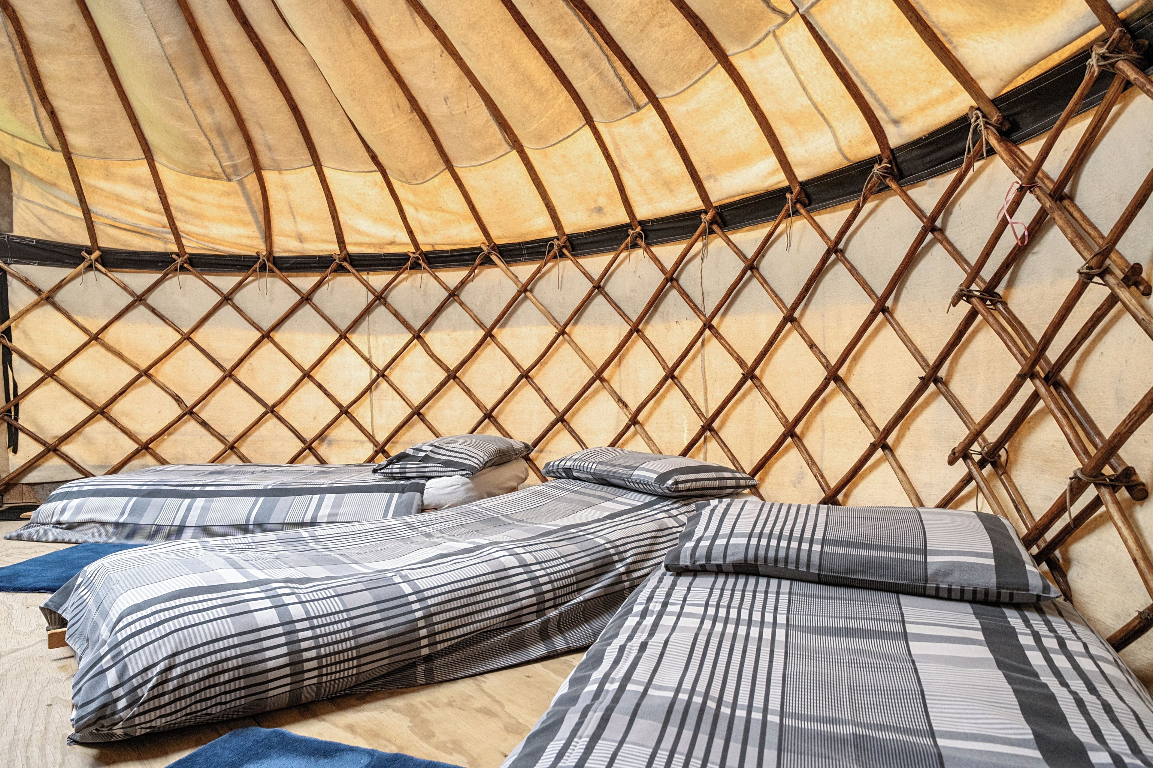 A traditional yurt interior with a woven lattice wall, a bed with striped bedding, and a blue rug.