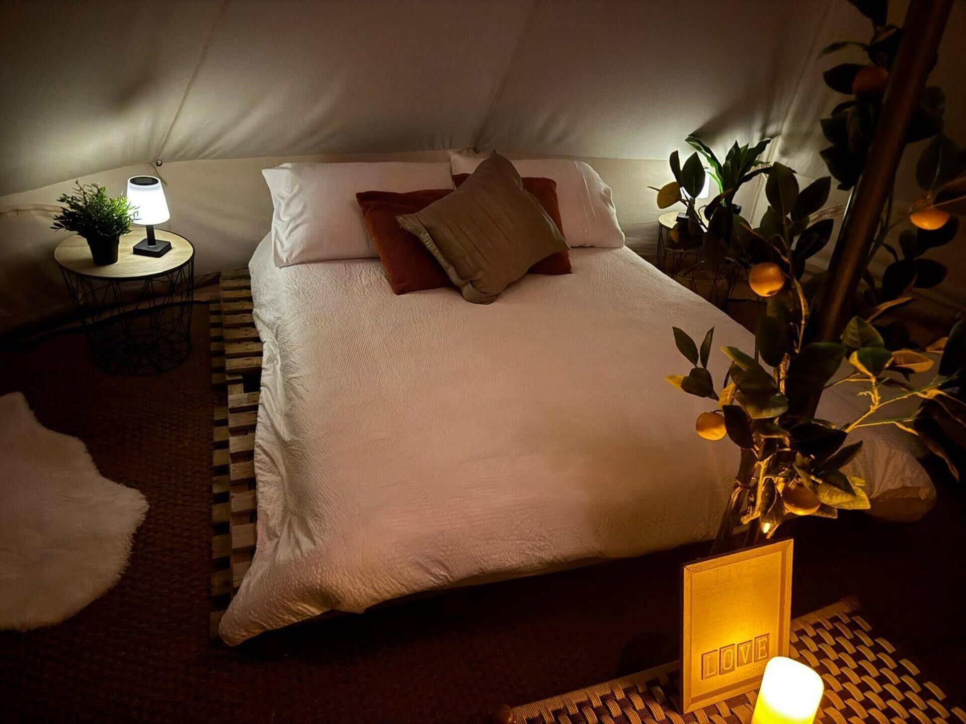 A cozy bedroom with a bed, pillows, a bedside lamp, a small table with a plant, and a decorative sign.