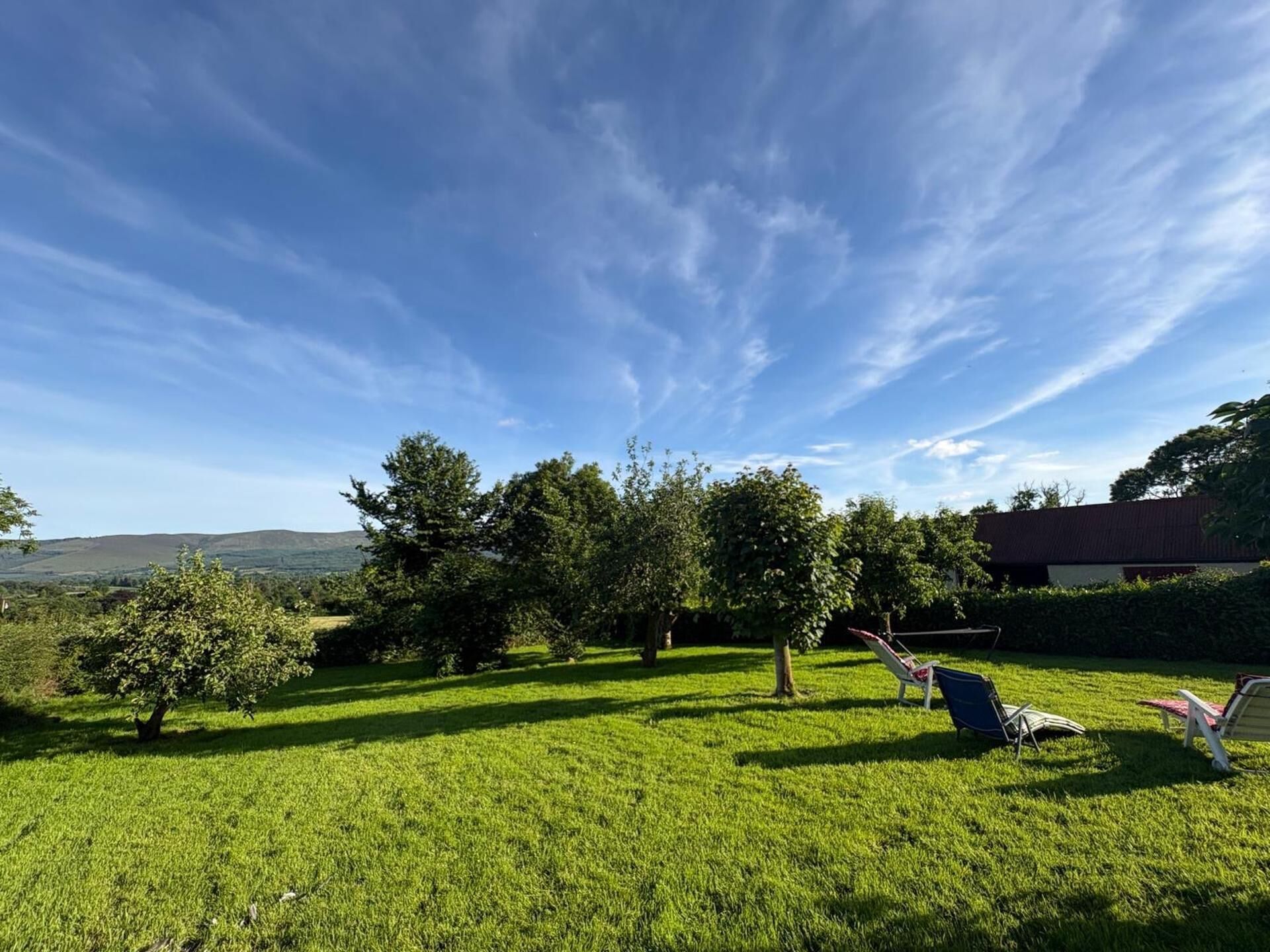 A grassy outdoor area with trees and a clear sky.