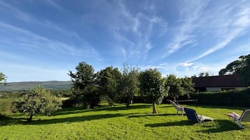 A grassy outdoor area with trees and a clear sky.