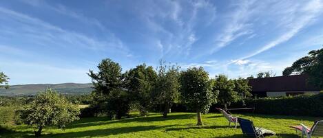 A grassy outdoor area with trees and a clear sky.