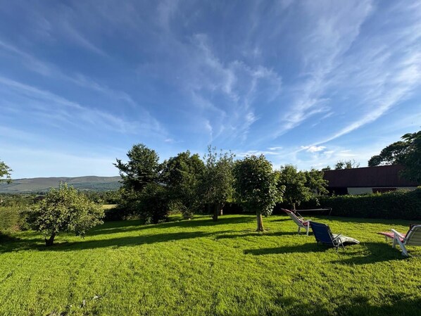A grassy outdoor area with trees and a clear sky.