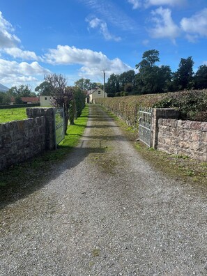 A gravel path leading to a house with a stone wall on one side and a metal gate on the other.