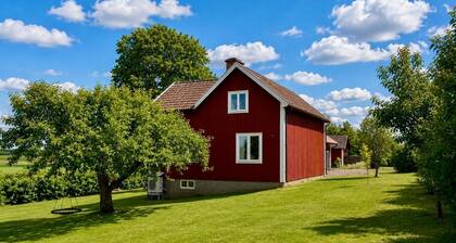 House With 8 Beds in Fornasa