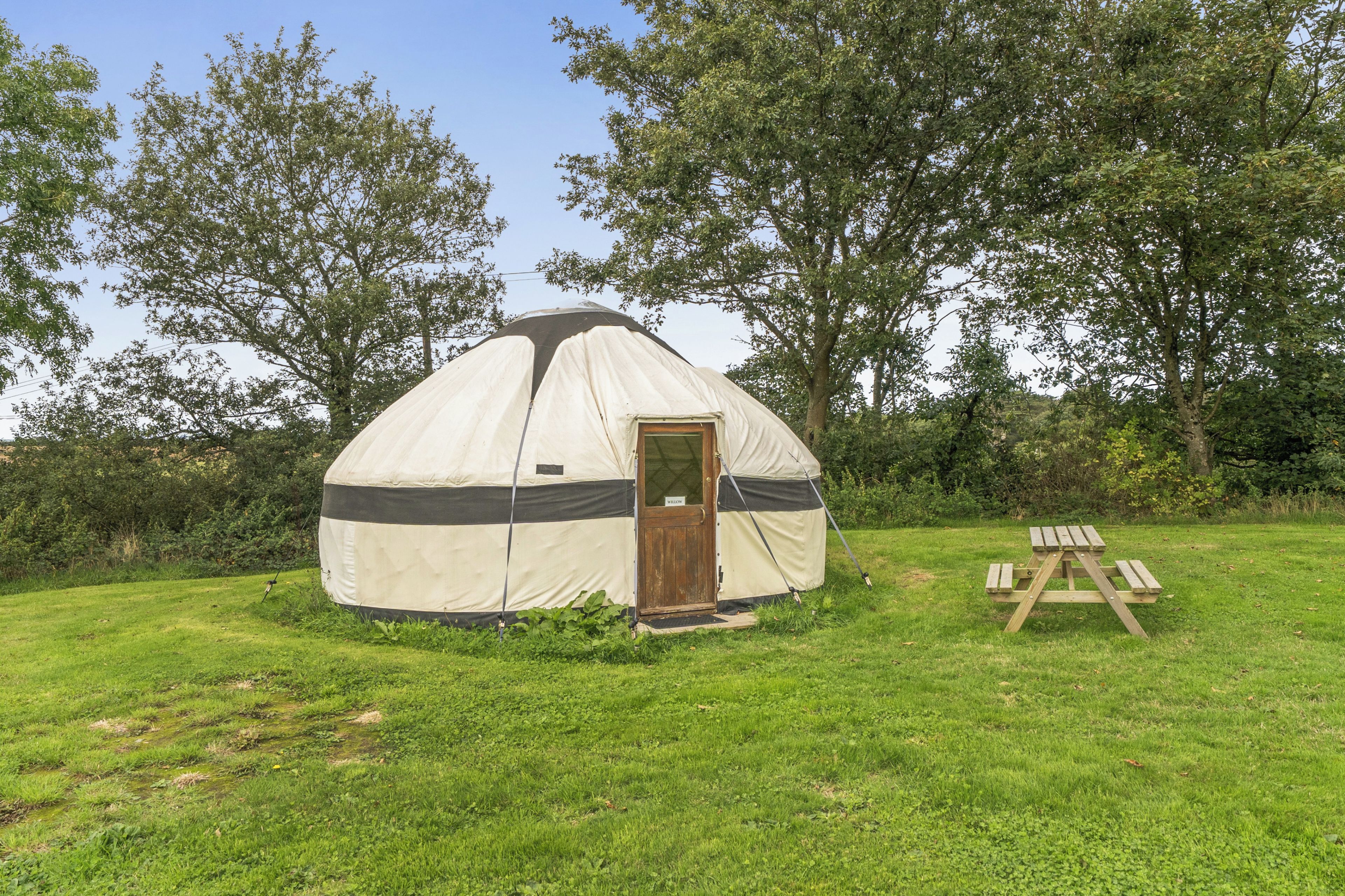 A dome-shaped tent with a door, set in a grassy area with trees in the background.