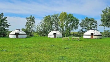 Eksteriør
