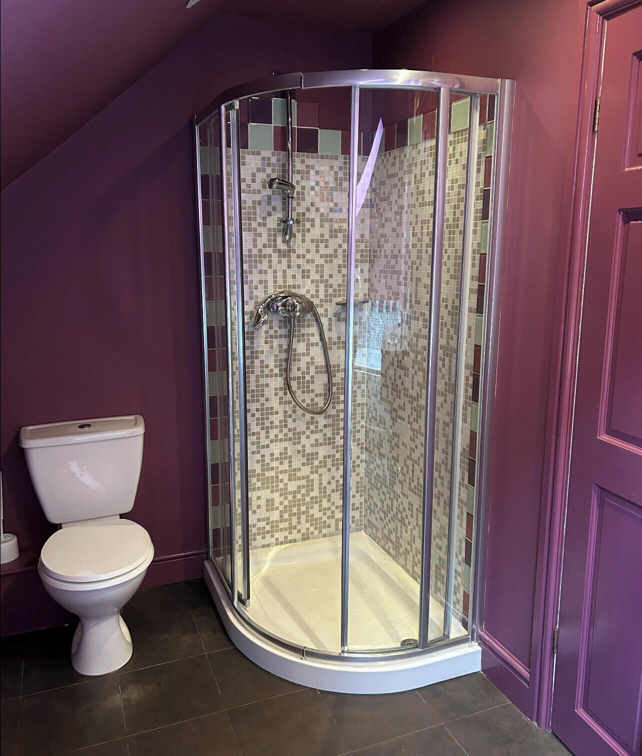 A corner shower enclosure with a glass door, a toilet, and a tiled floor.