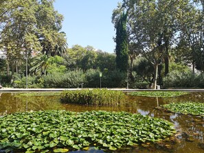 A serene park with a pond covered in lily pads, surrounded by lush greenery and trees. - Atic Deluxe, excellent location (Barcelona)