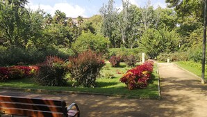 A park with a bench, pathways, and various plants. - Atic Deluxe, excellent location (Barcelona)