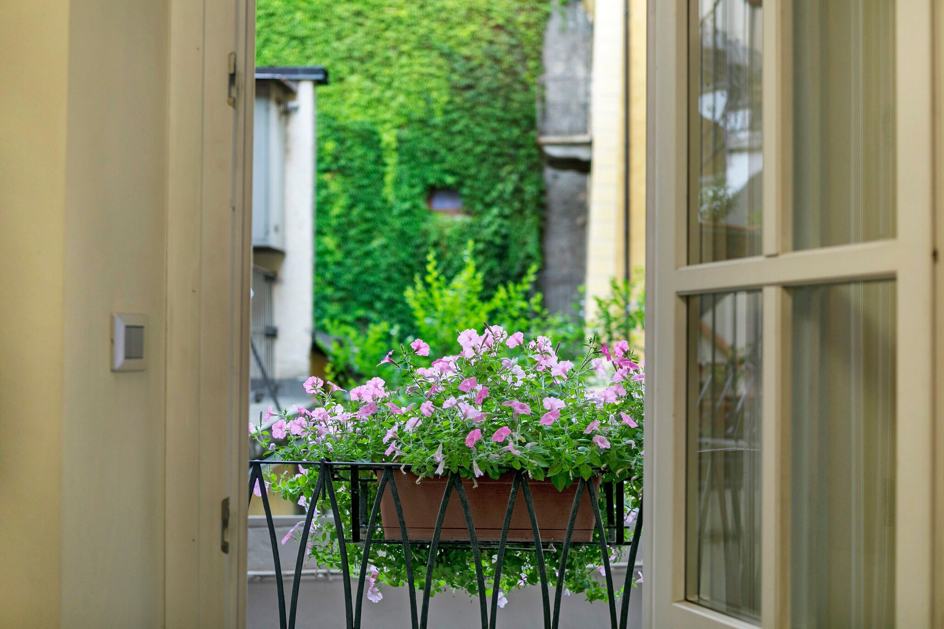 A potted plant with pink flowers in a metal stand on a balcony.
