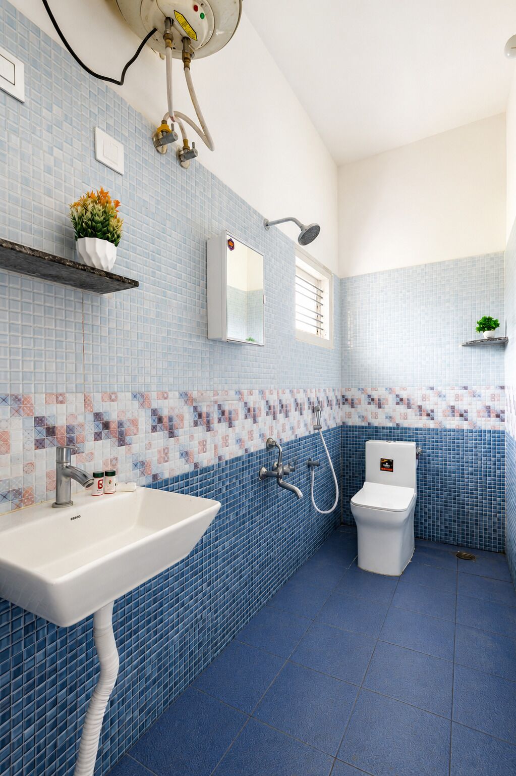 A bathroom with a sink, toilet, and shower. There are potted plants on the shelves.