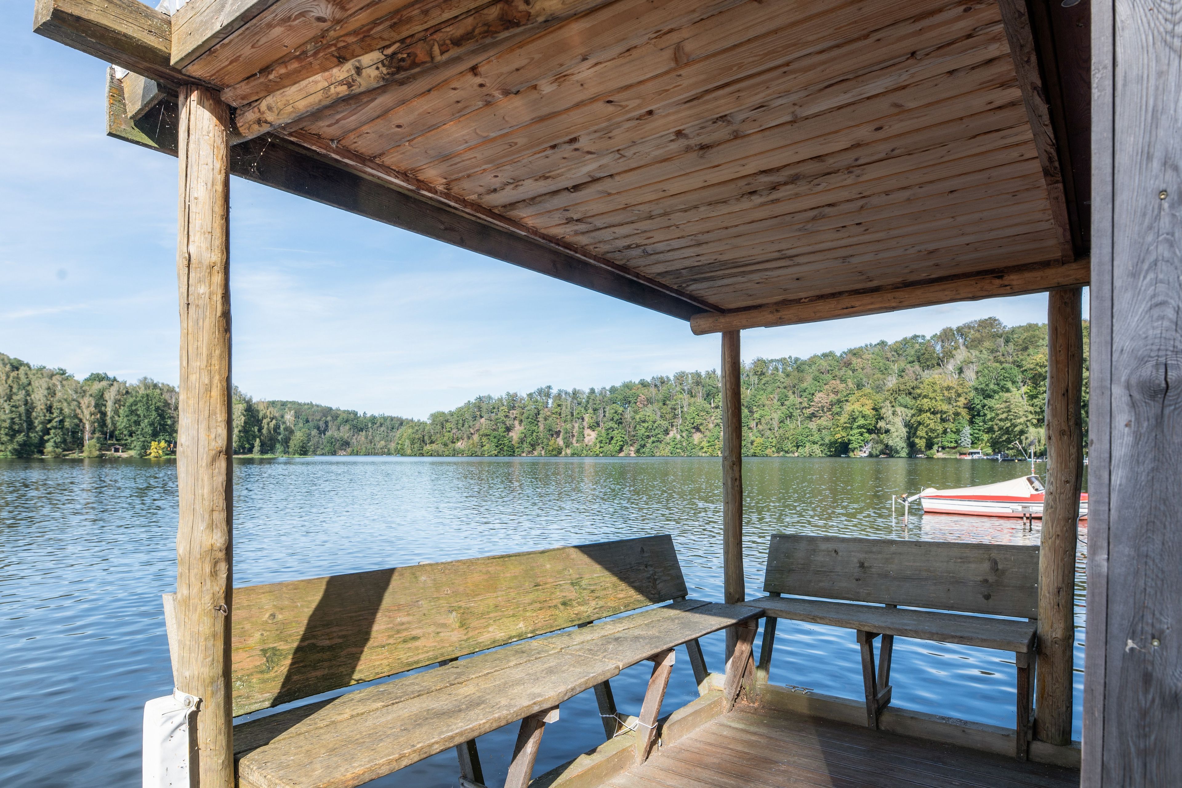 Eine Holzsteganlage mit einer Bank, mit Blick auf einen ruhigen See, dessen Hintergrund ein bewaldeter Hang ist.