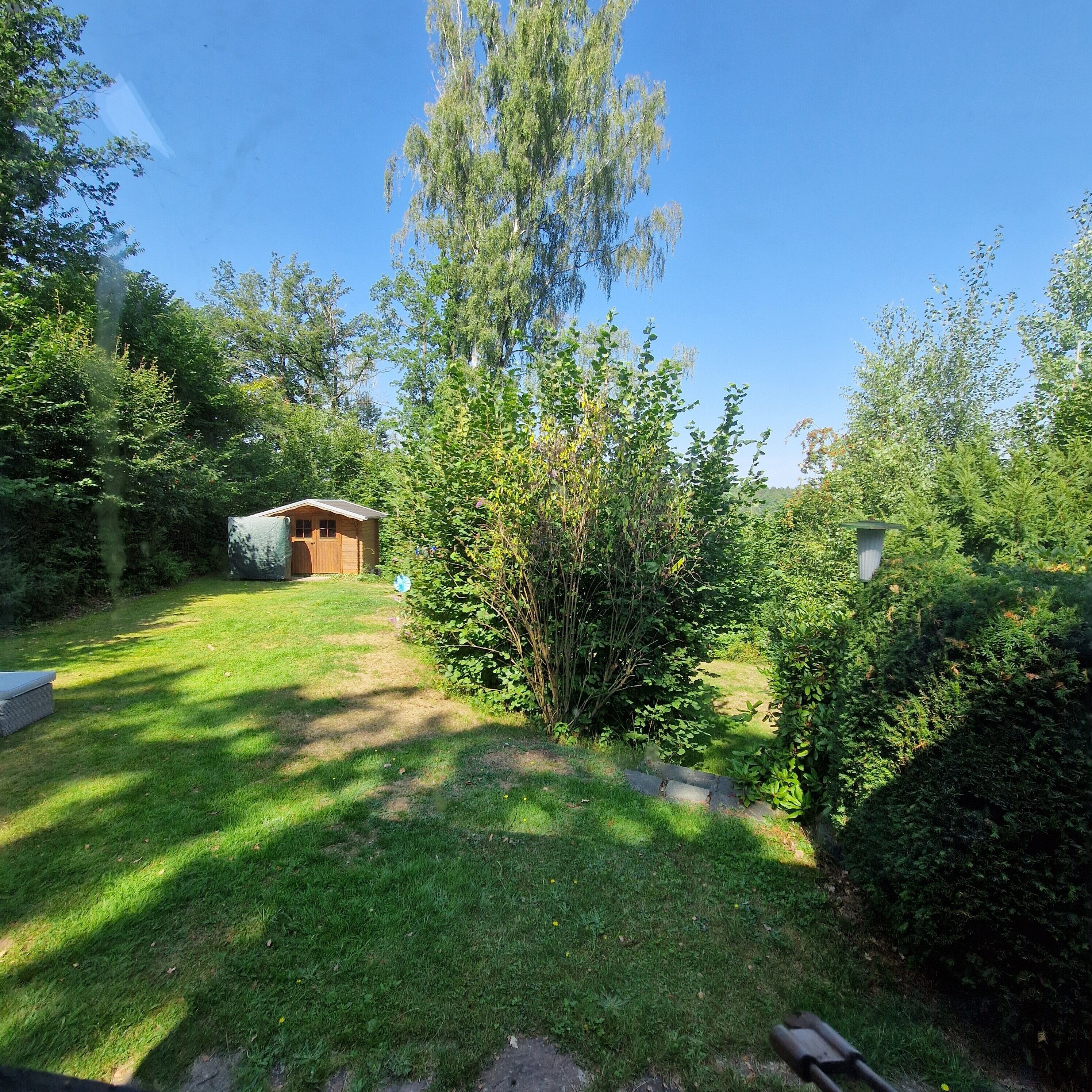 Eine grasbewachsene Fläche mit einer kleinen Holzkonstruktion, umgeben von dichtem Grün und Bäumen.