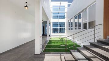 A modern interior with a staircase leading to a glass-enclosed area, a small garden, and a view of the outside.