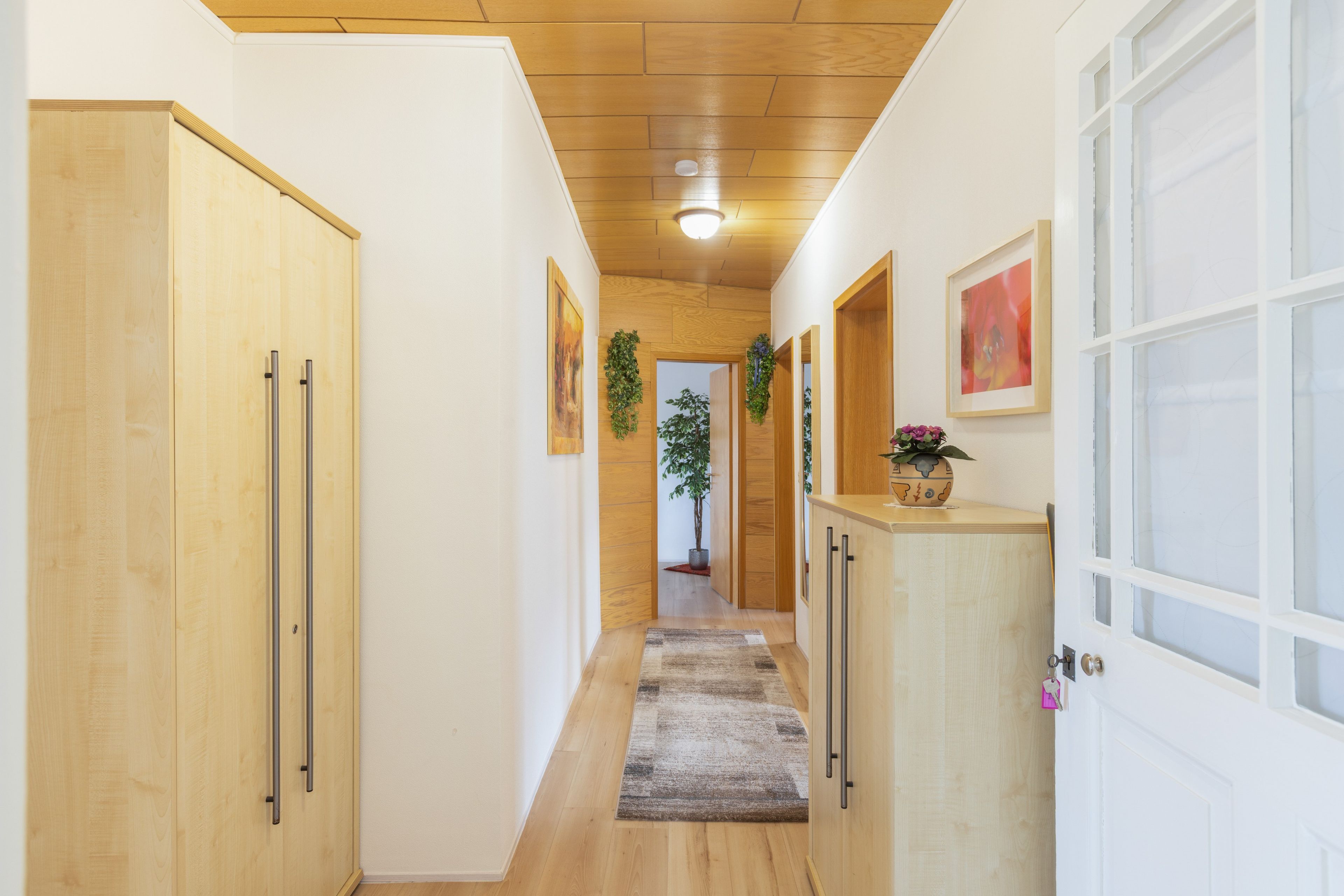 A hallway with wooden flooring, a rug, and a potted plant.