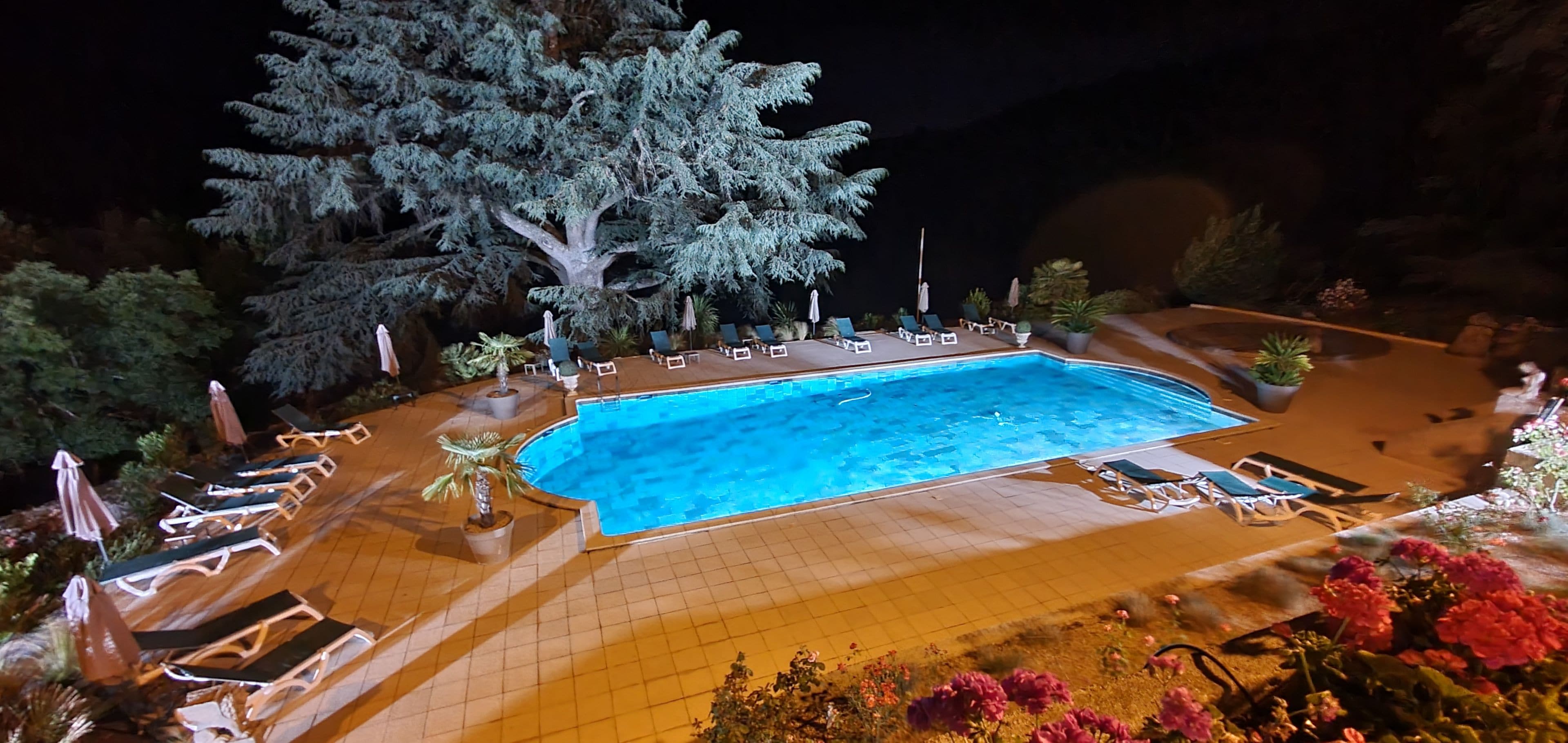 Ein Swimmingpool mit Liegestühlen und Sonnenschirmen, umgeben von Kübelpflanzen und Bäumen.