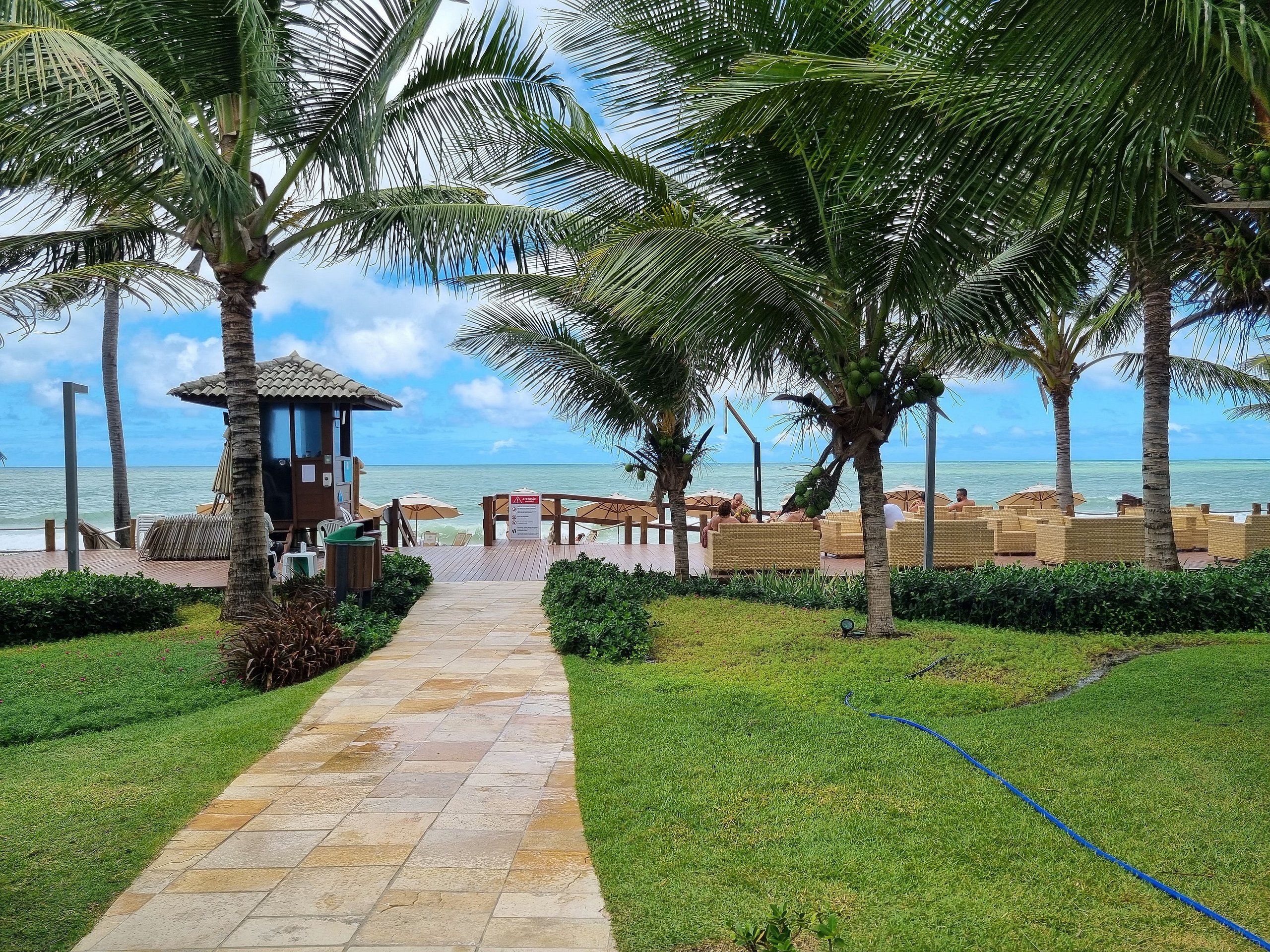 Un camino que lleva a una zona de descanso en la playa, con palmeras y vista al océano.