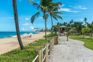 A beach with palm trees, a sandy path, and a small structure with a tiled roof. - BeachClass EcoLife Porto de Galinhas (Ipojuca)