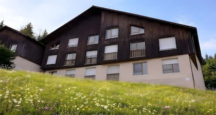 Le Bellevue - 5 min Gérardmer - Spacieux - 60 m²