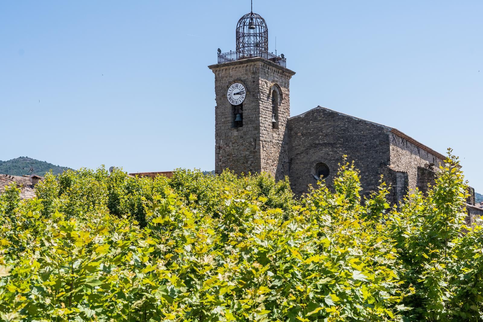 A historic building with a clock tower, surrounded by lush greenery.