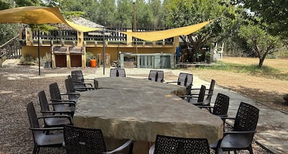 El Pi de La Selva