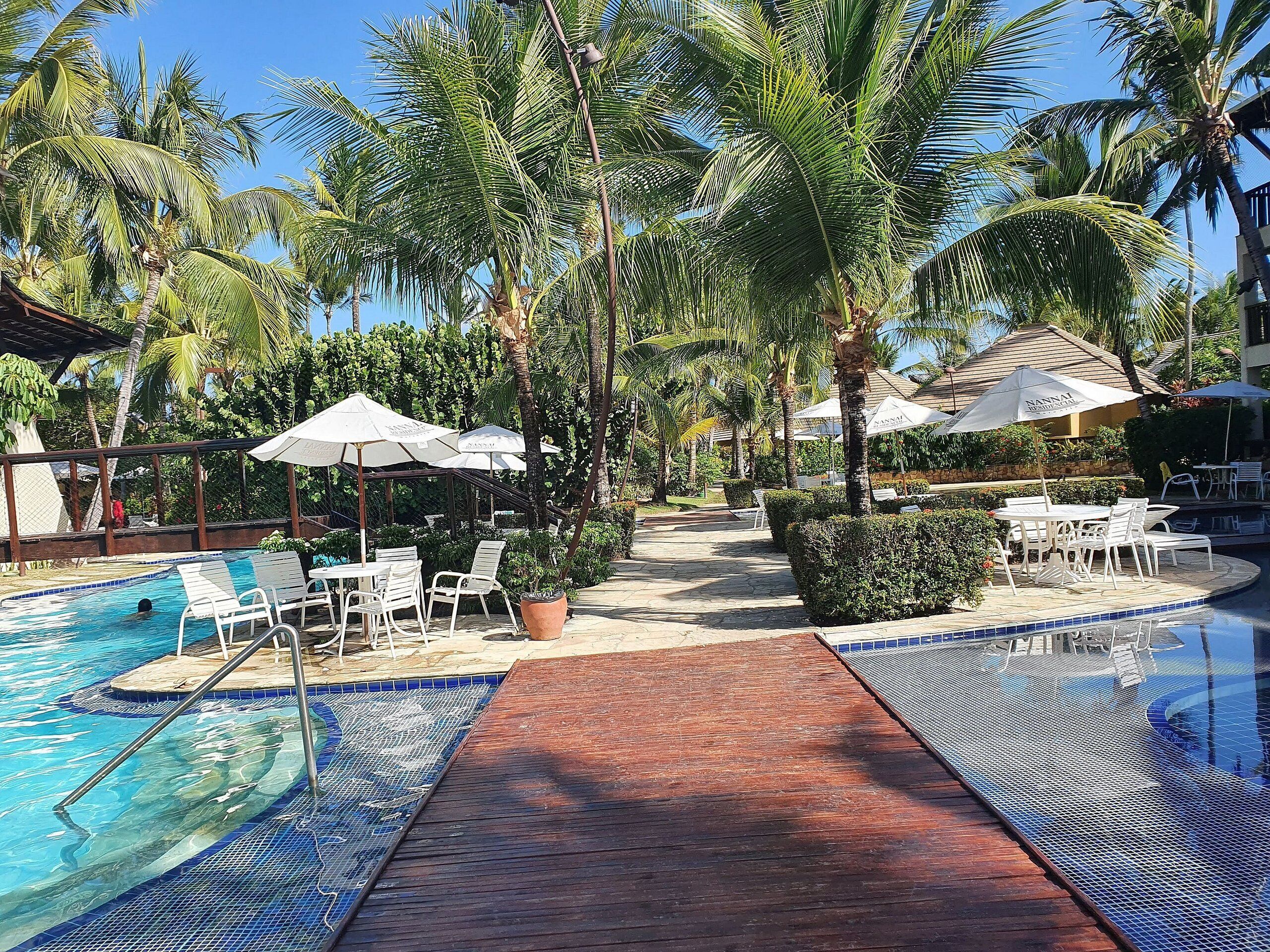 A pool area with lounge chairs and umbrellas, surrounded by palm trees and a clear sky.