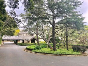 A paved driveway leading to a building with a stone roof, surrounded by well-maintained hedges and trees. - Grand Craftsman Estate built in 1937 Charms in the heart of Carmel By The Sea (Carmel)