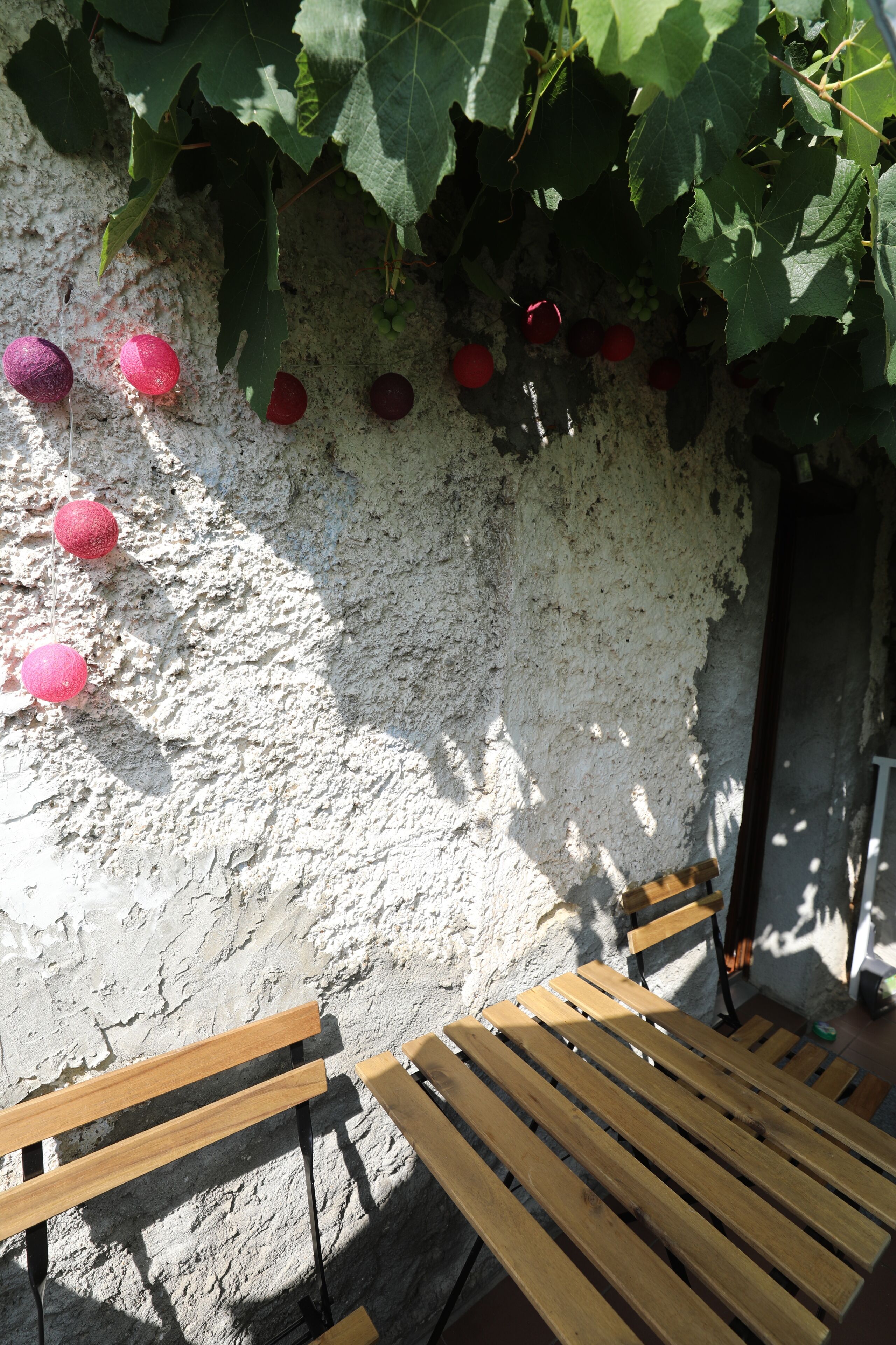 A rustic outdoor seating area with wooden benches and a wall covered in grapevines.