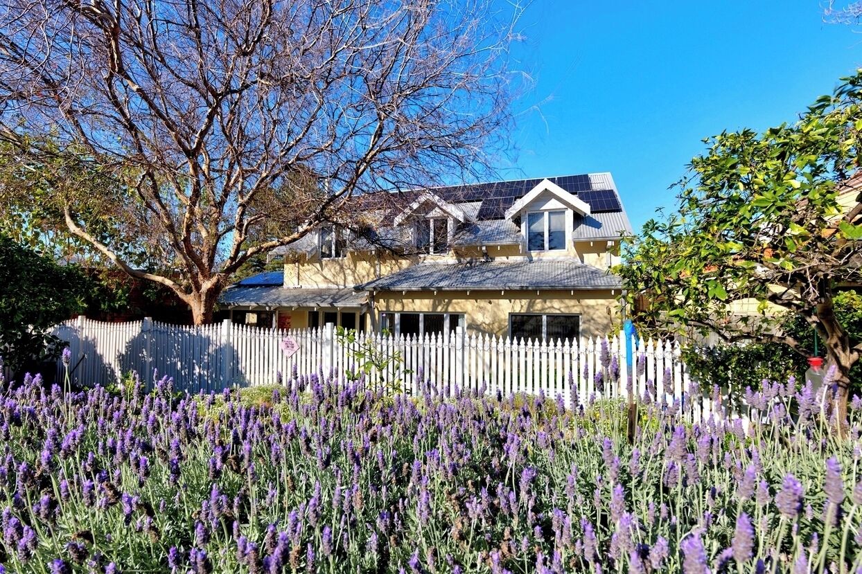 A house with a white picket fence, surrounded by lavender fields.