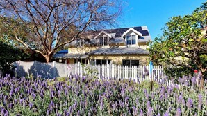 A house with a white picket fence, surrounded by lavender fields. - Two-Storey Cottesloe Garden Retreat with Study & Lavender Charm (Cottesloe)