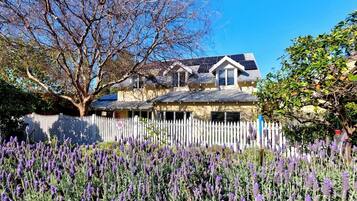 A house with a white picket fence, surrounded by lavender fields.