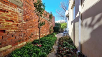 A narrow pathway flanked by a brick wall and a white building, with a small tree and plants along the path.