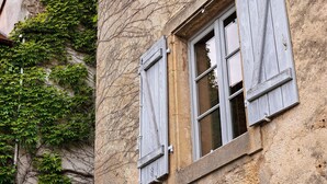 Un edificio con mura coperte d'edera e una finestra con persiane di legno.