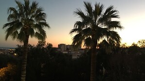 A pool area with palm trees, a clear sky, and buildings in the background. - Classic South of France elegances set in an oasis in the heart of Cannes (Cannes)