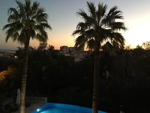 A pool area with palm trees, a clear sky, and buildings in the background. - Classic South of France elegances set in an oasis in the heart of Cannes (Cannes)