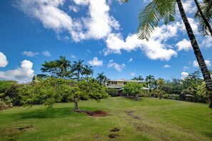 Un paysage tropical avec une maison entourée d’une végétation luxuriante et de palmiers, sous un ciel bleu dégagé.