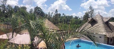 Una piscina con una persona nadando, rodeada de palmeras y construcciones de techo de paja.
