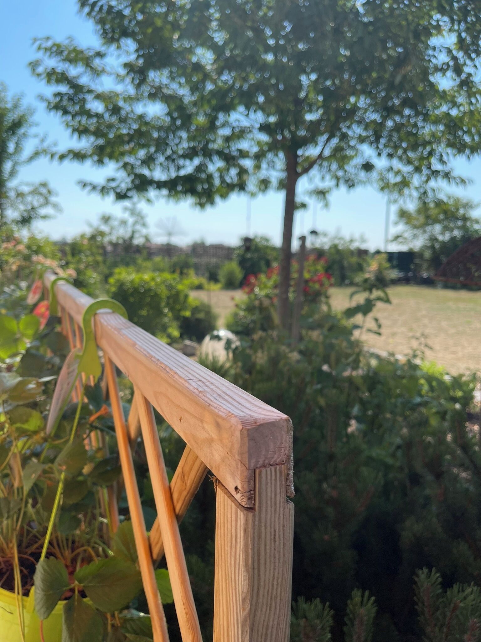 Eine Holzhandläufe mit Blick auf einen Garten und Bäume.