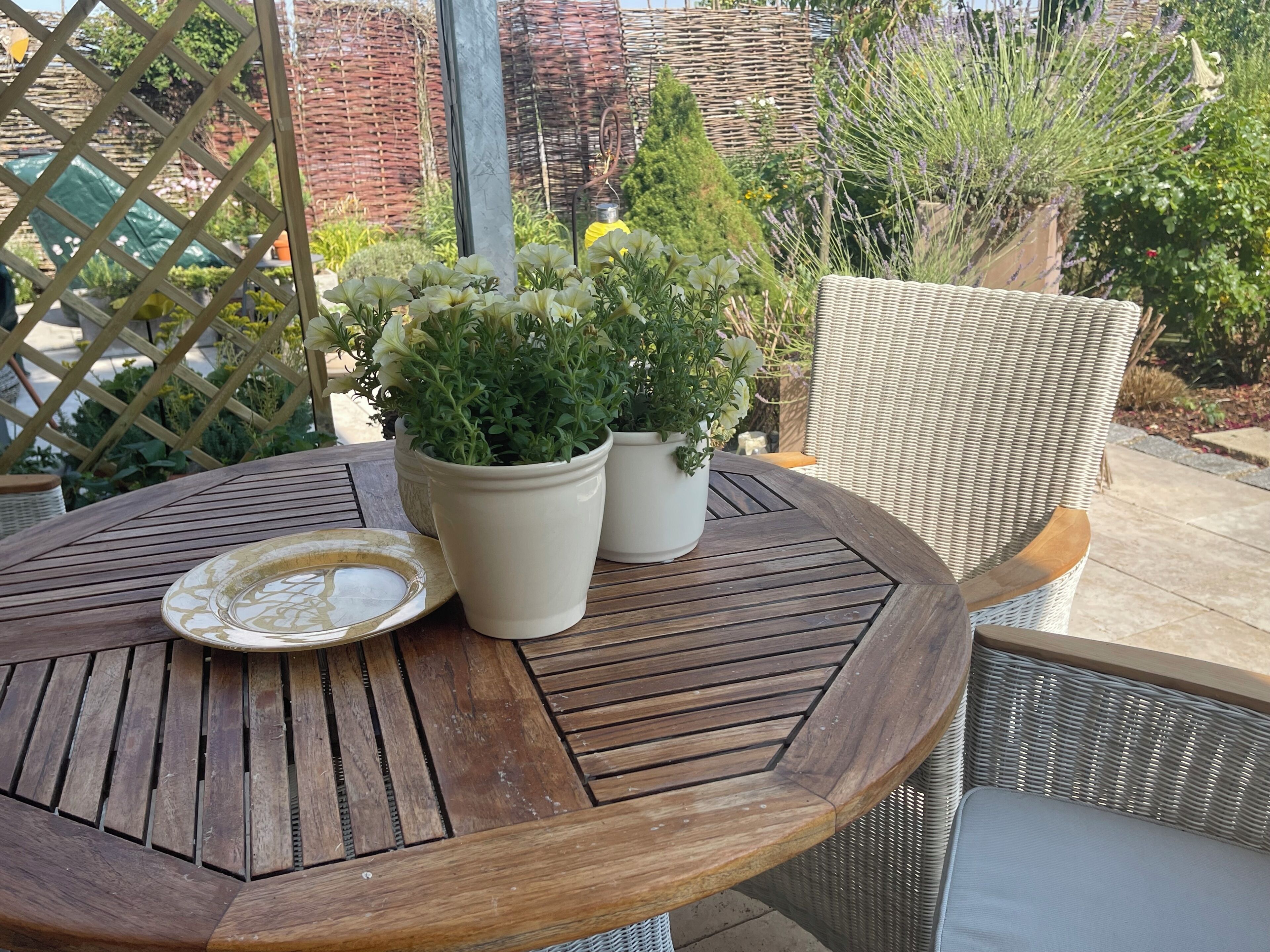 Une table ronde en bois, surmontée d’une assiette blanche et agrémentée de deux plantes en pot.