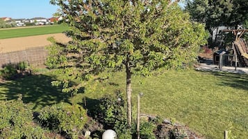 Un jardí amb diverses plantes, un arbre i un cel blau clar.