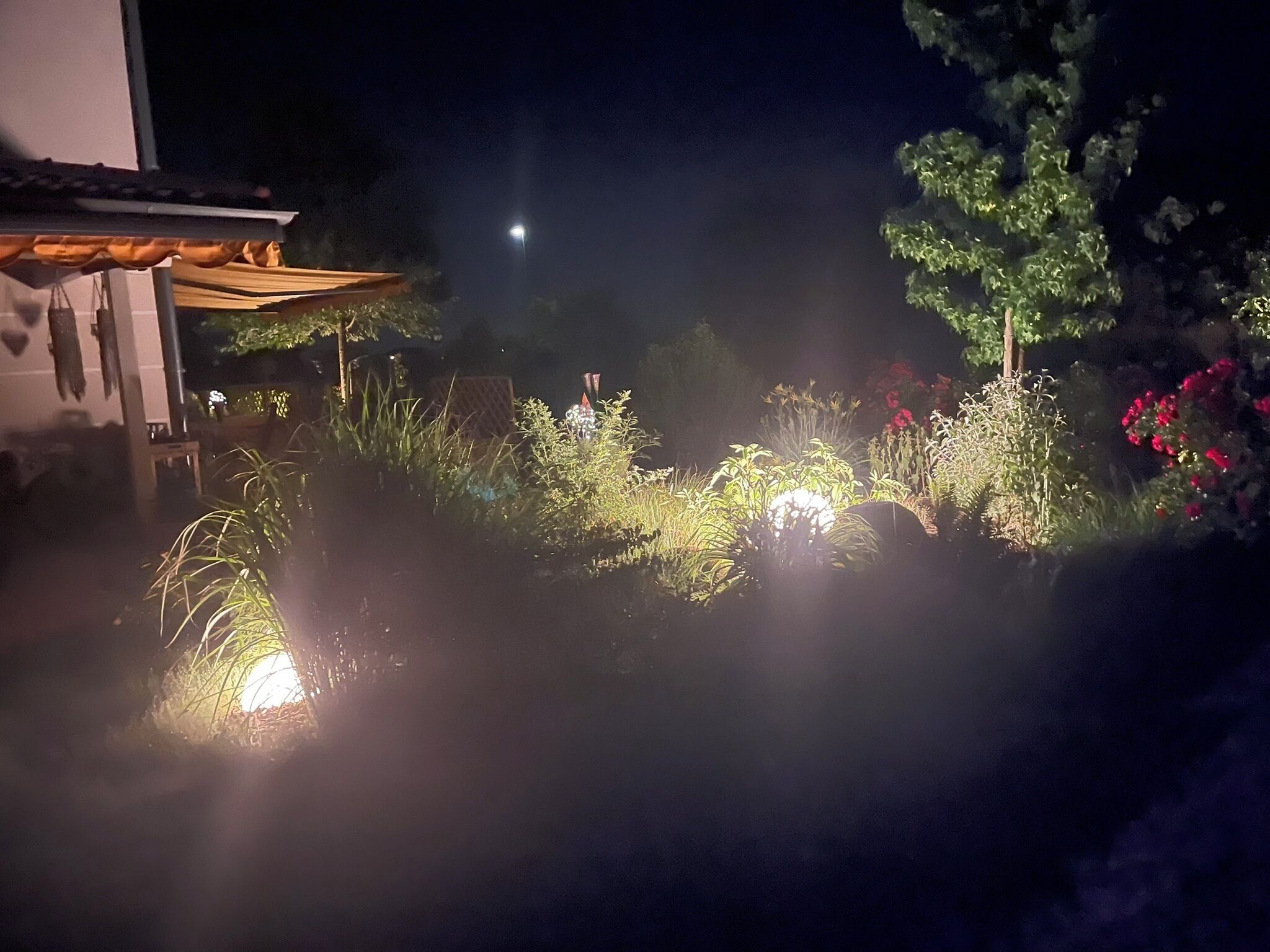 Ein Garten bei Nacht mit Mond im Himmel, beleuchtete Pflanzen und einem Gebäude mit Dach.