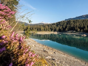 A clear lake with a forested mountain backdrop, rocky shoreline, and a small building near the water's edge. - Lovely apartment for 4 guests with WIFI, TV and balcony (Flims)