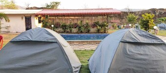 Panshet camping & resort