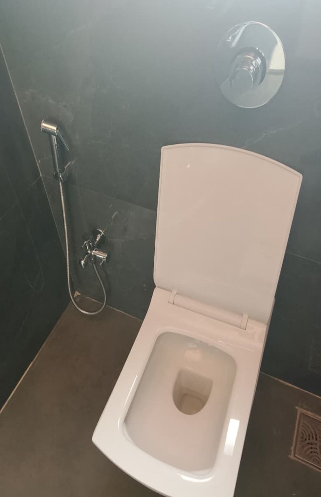 A toilet with a bidet attachment and a showerhead in a bathroom with dark tiled walls.