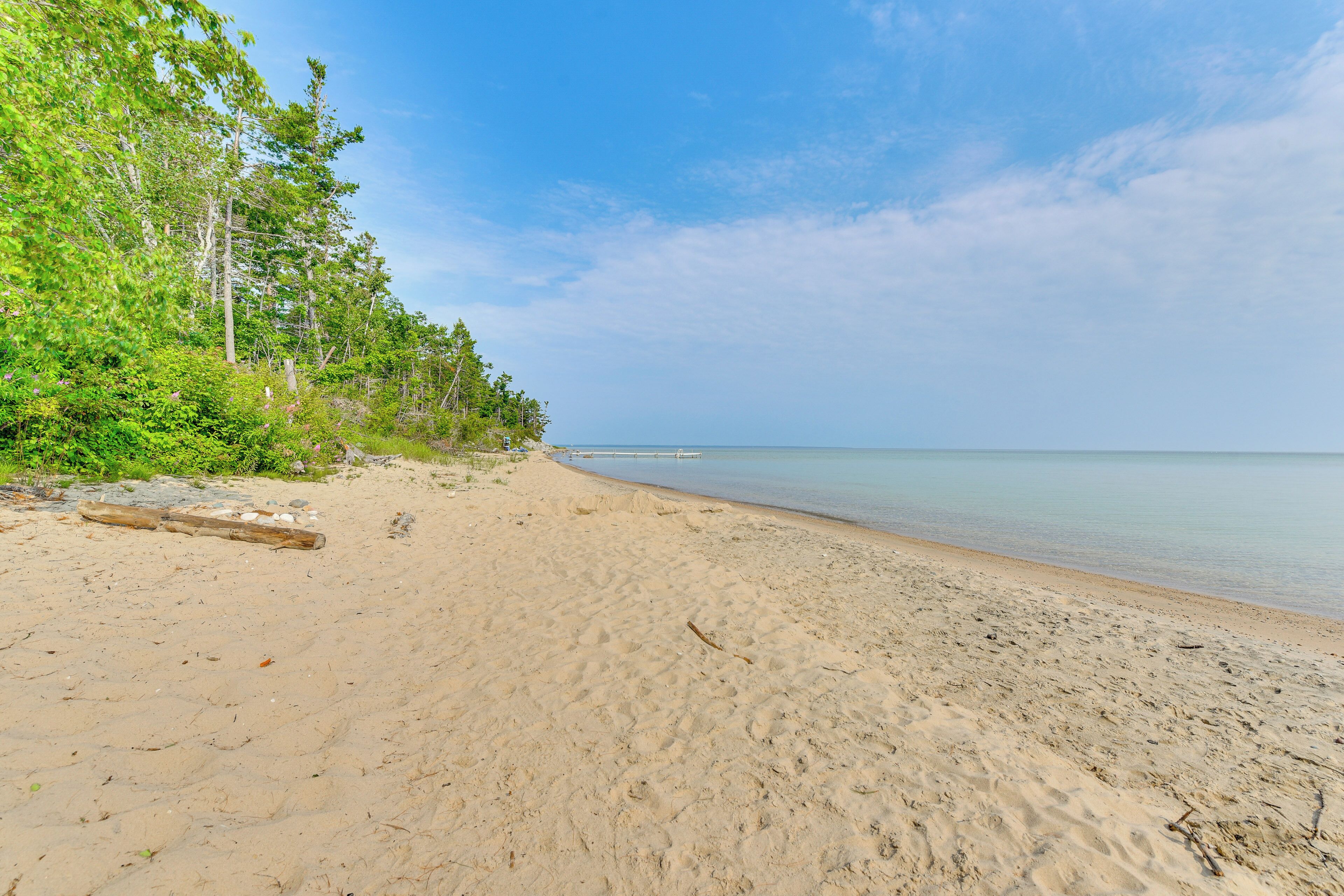Une plage de sable, un ciel dégagé et une rangée d’arbres.