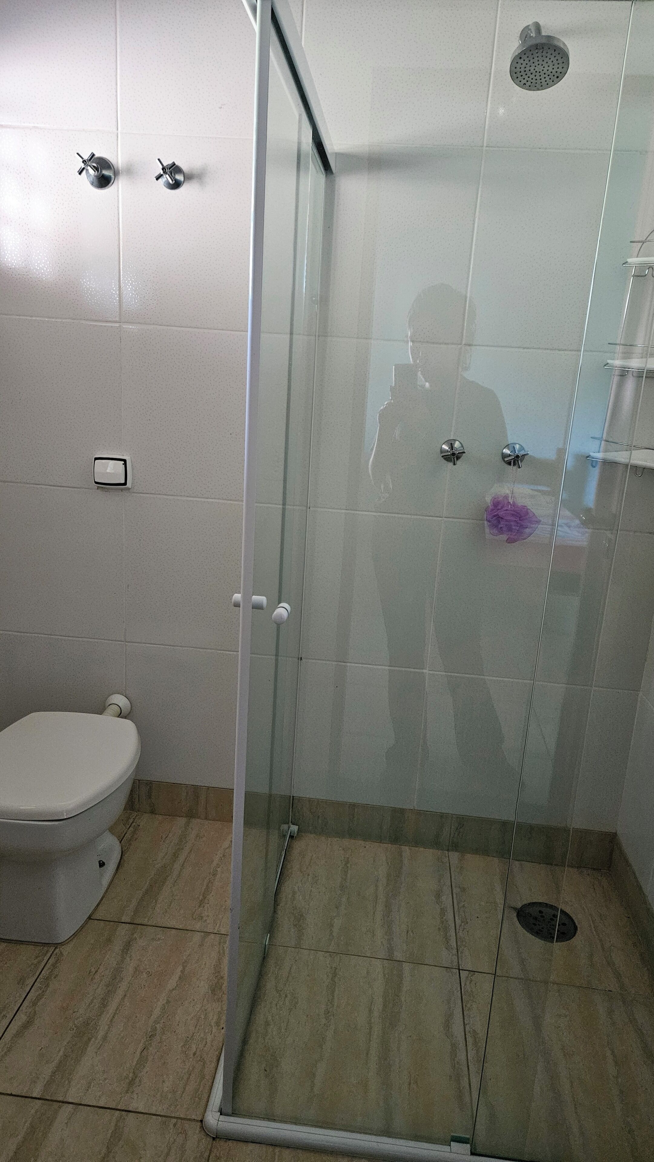 A bathroom with a glass-enclosed shower, a toilet, and a mirror.