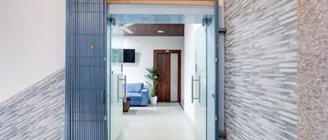 A modern interior with a glass door leading to a hallway, a blue sofa, and a potted plant.