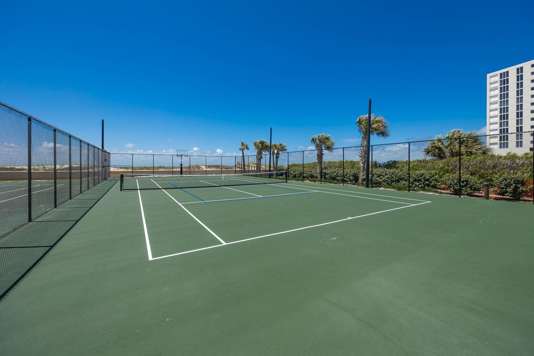 A tennis court with a net, surrounded by a fence, palm trees, and a building in the background.